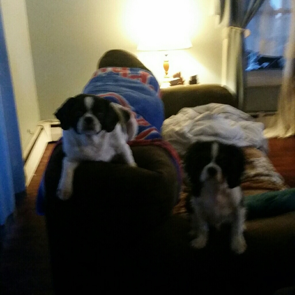 Meet your Posher, Gwen