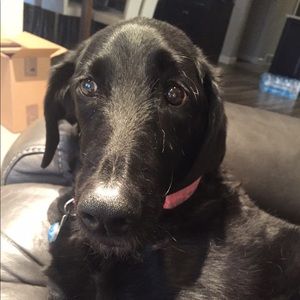 Meet your Posher, Patty