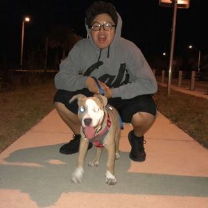 Meet your Posher, Rafael