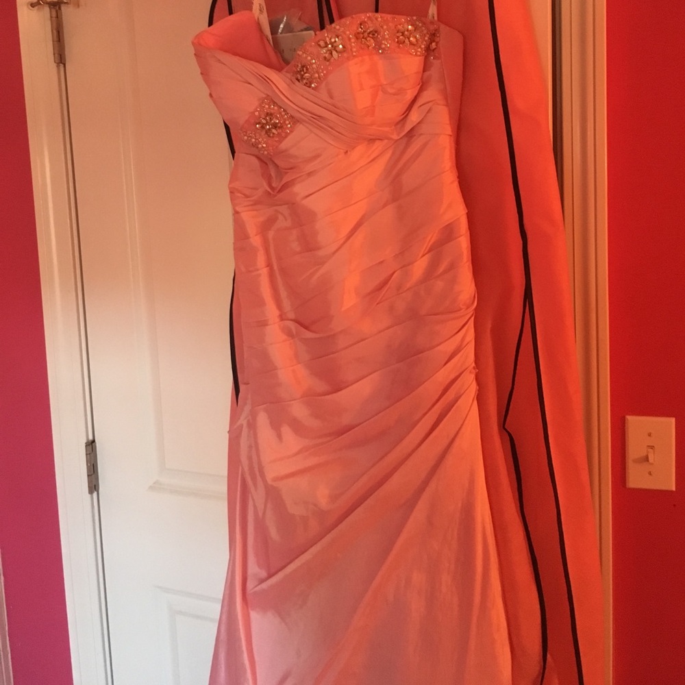 Tiffany designs pink prom dress size 12