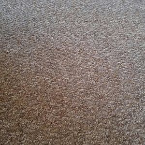 Meet your Posher, Sandi