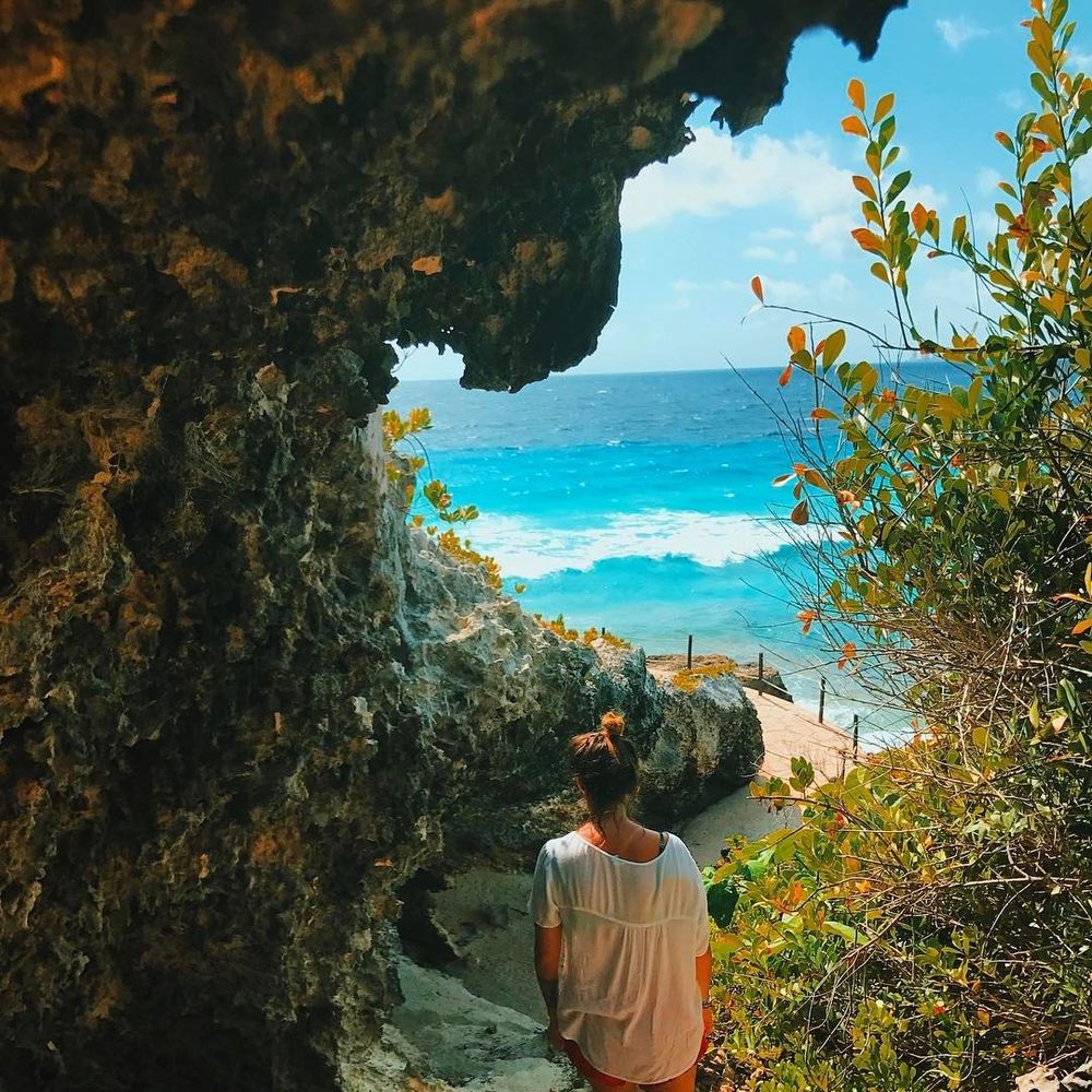 Meet your Posher, Lizz