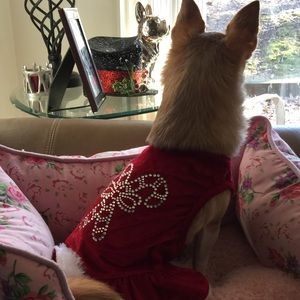 Meet your Posher, Shelly