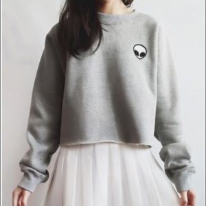 Alien Gray Crop Top Sweater