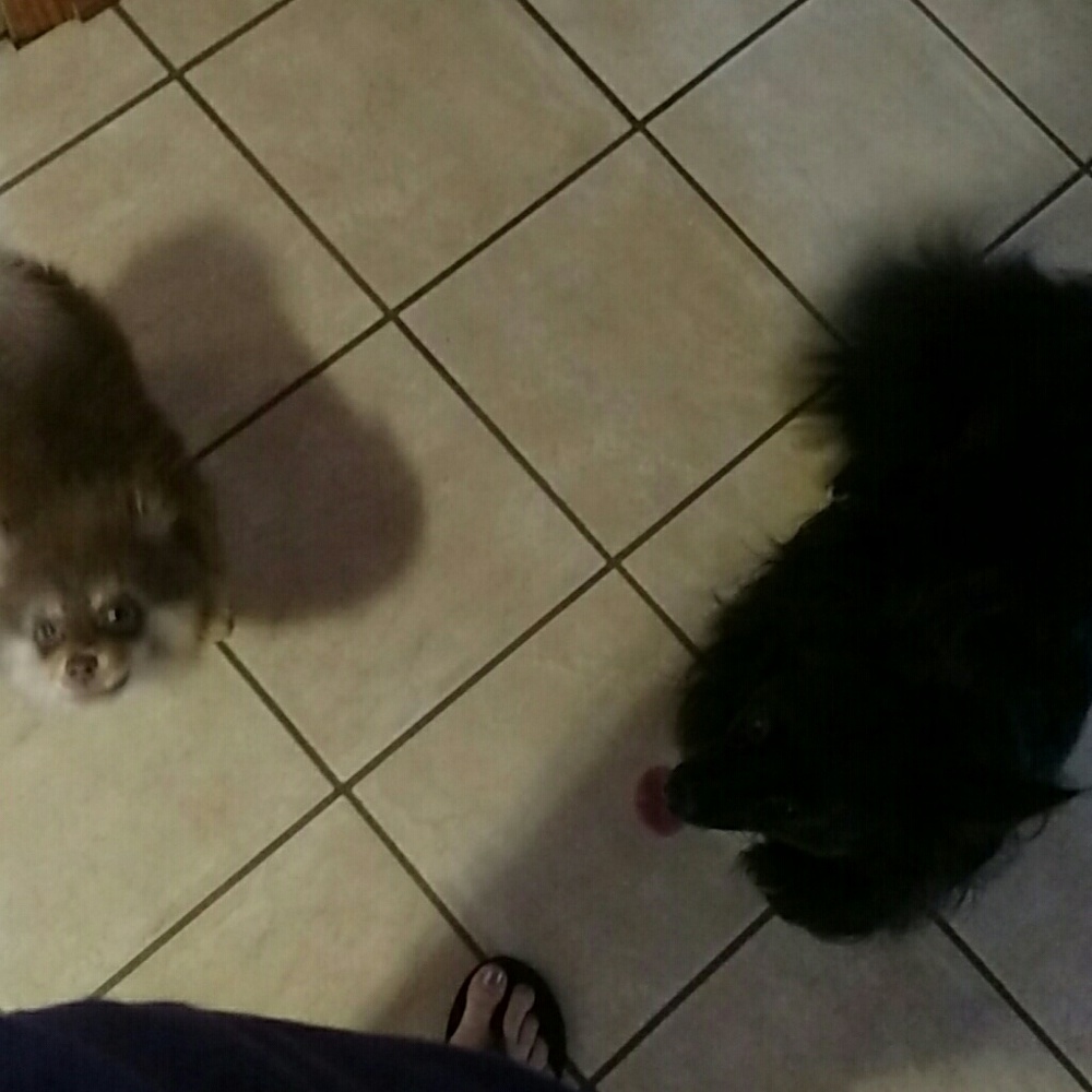 Meet your Posher, Marija