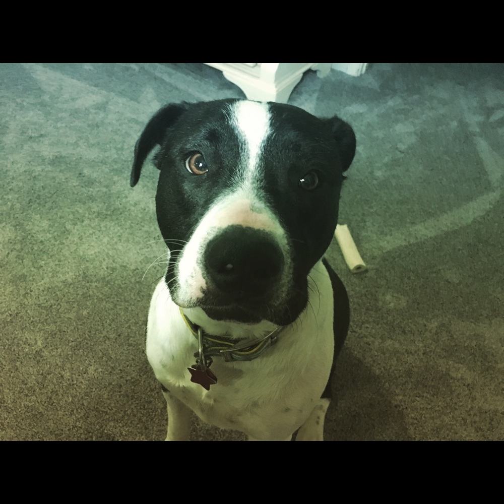 Meet your Posher, Kaitlyn