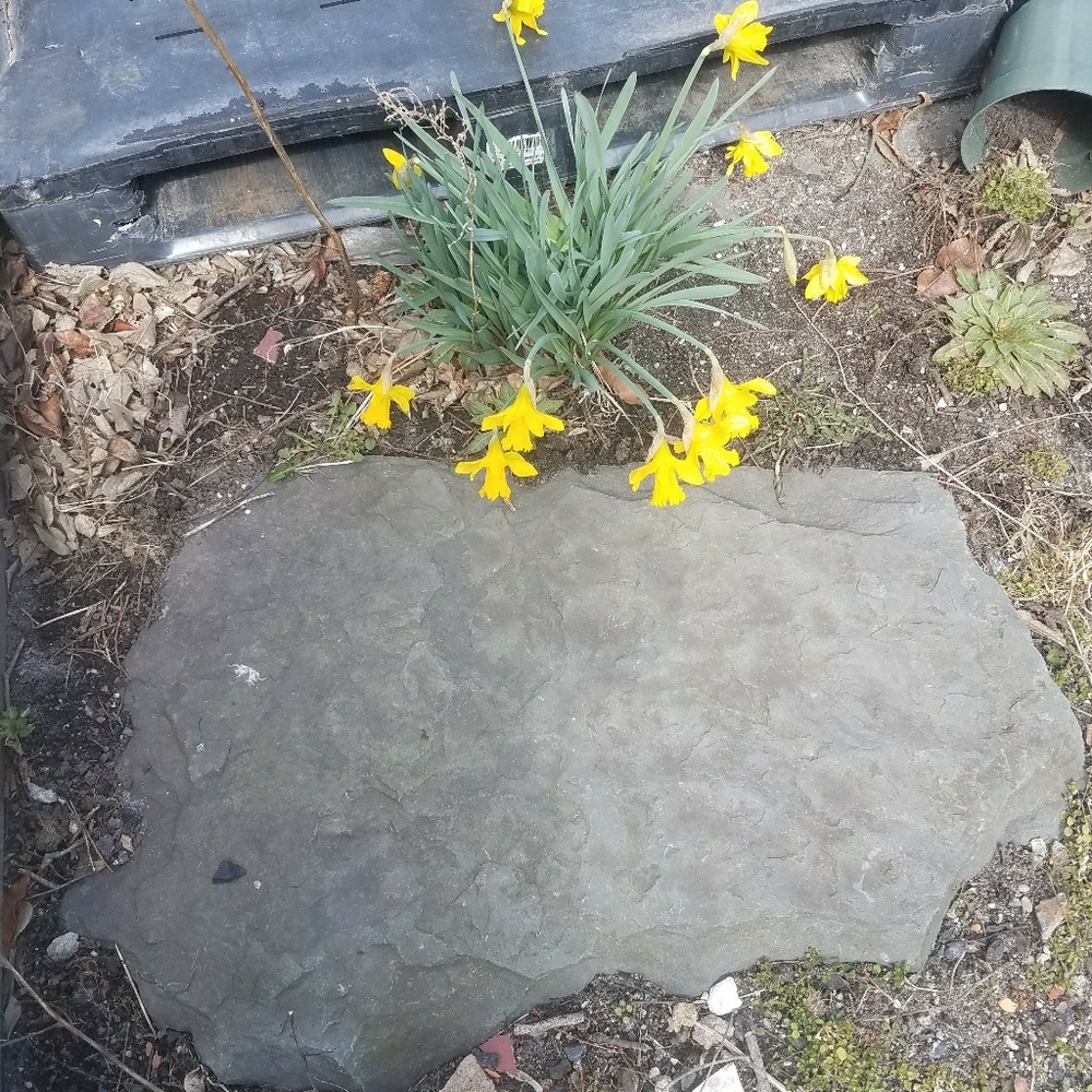 Meet your Posher, Nakia