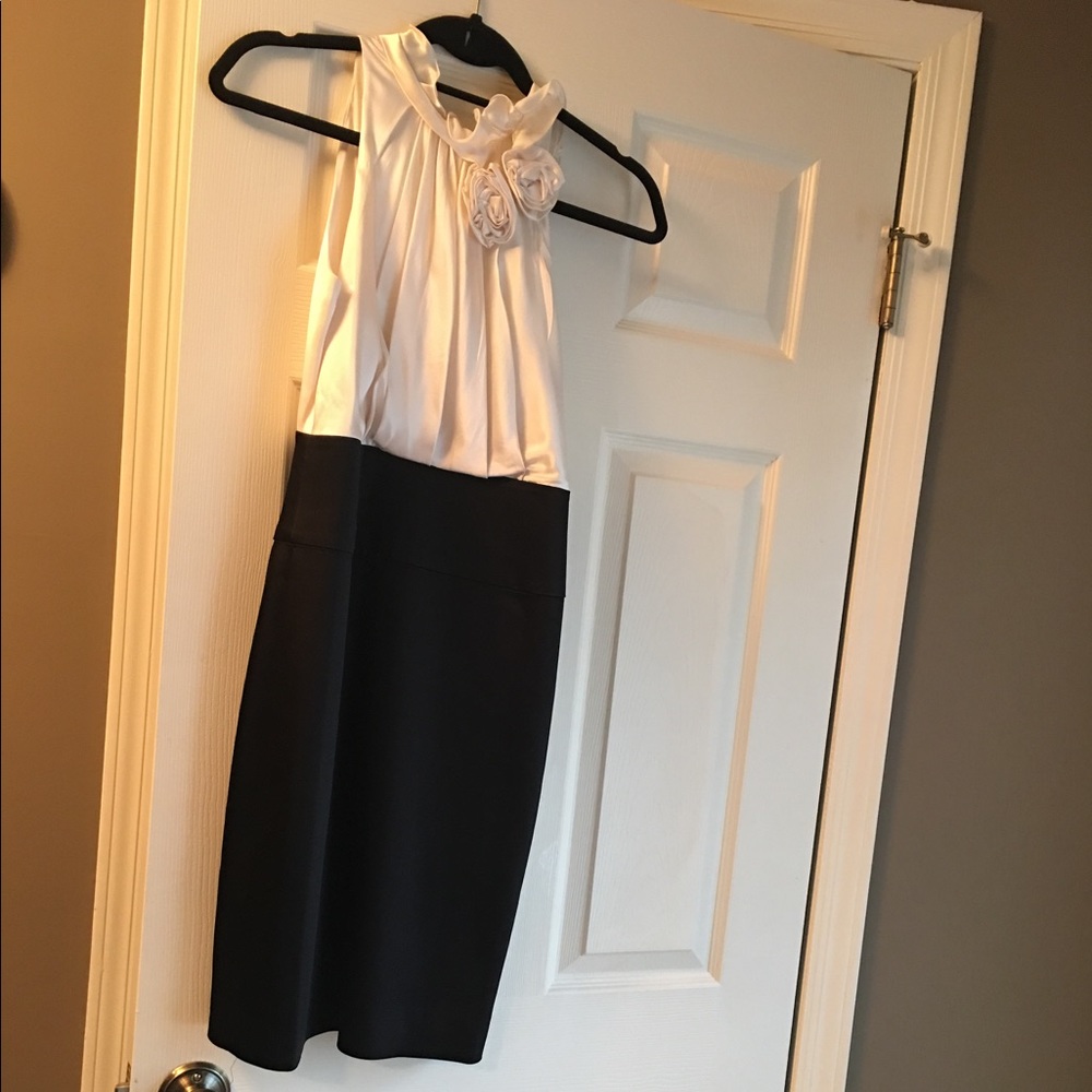 BCBG Pencil Dress