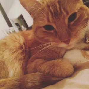 Meet your Posher, Anam