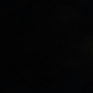 Meet your Posher, Daisy