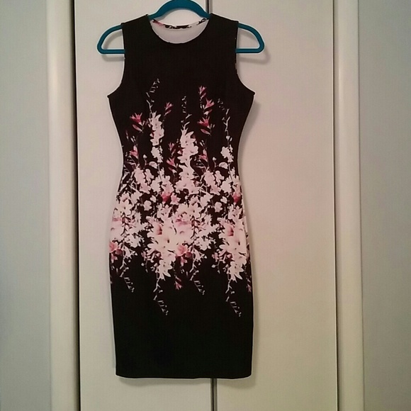 👗 CLEARANCE  LAST ONE HP  FITTED SLEEVELESS DRESS - Picture 3 of 3