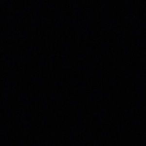 Meet your Posher, Payton