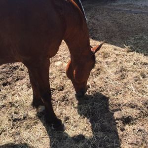 Meet your Posher, Mackenna