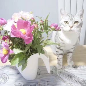 Meet your Posher, Daisy