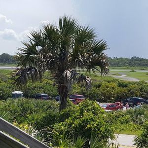 Meet your Posher, Ben