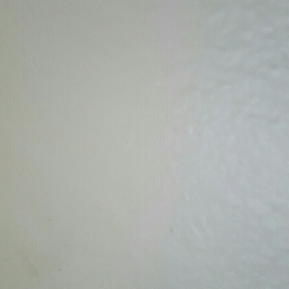 Meet your Posher, Lorena