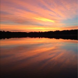 Meet your Posher, Annie