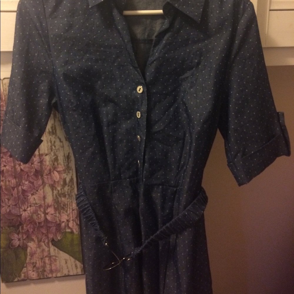 Blue and white poke-a-dot dress
