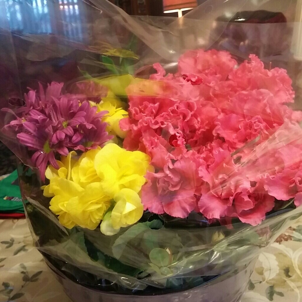 Meet your Posher, Ruth