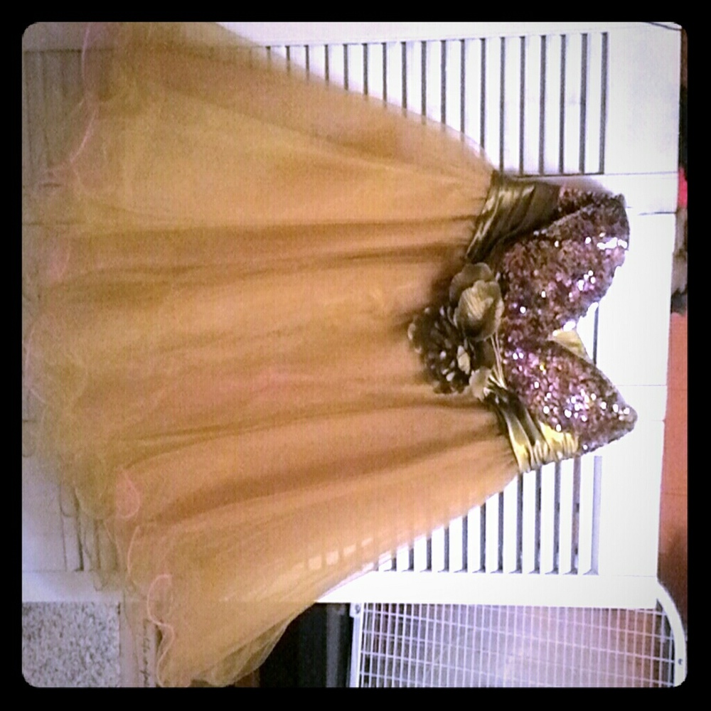 Prom dress