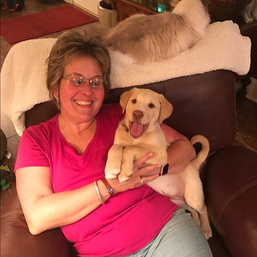 Meet your Posher, Tish