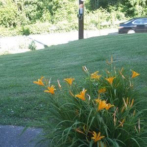 Meet your Posher, Jeanie