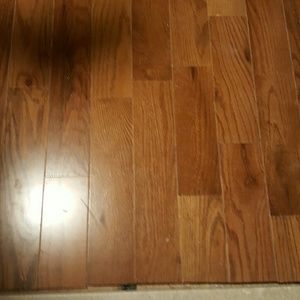 Meet your Posher, Wendy