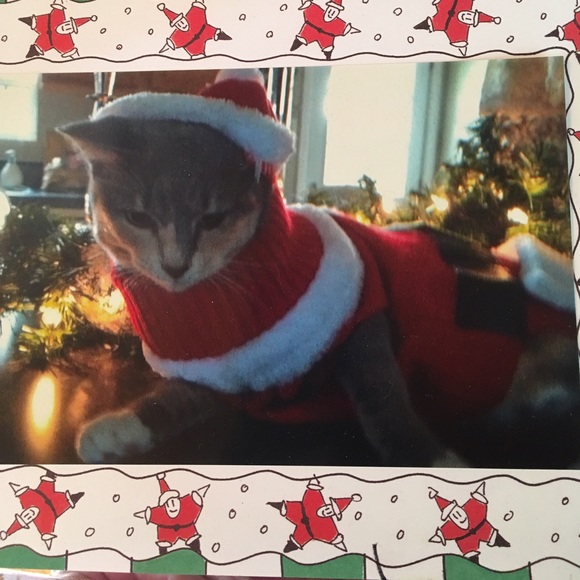 💗MEET YOUR SELLER💗 - Picture 2 of 8