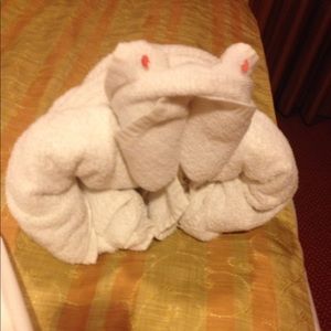 Meet your Posher, Stuart