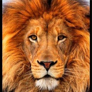 Meet your Posher, Jack