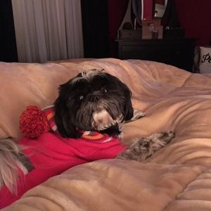 Meet your Posher, Michelle