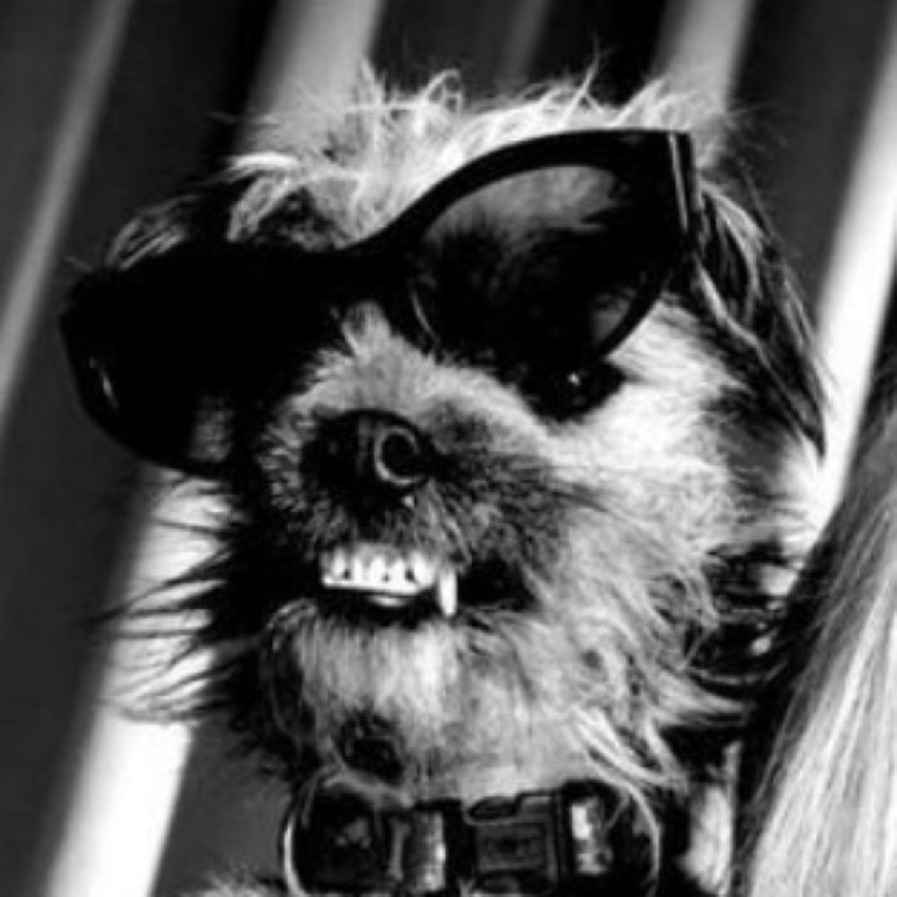 Meet your Posher, Cobi