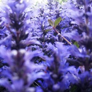 Meet your Posher, Hailey