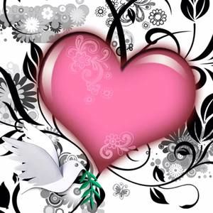 Meet your Posher, Lorena