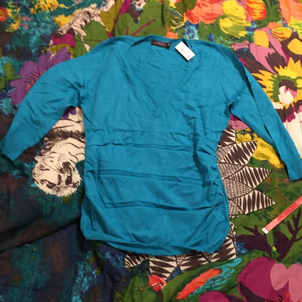 The Limited Deep V Neck Sweater