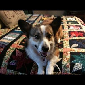 Meet your Posher, Suzanne