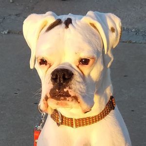 Meet your Posher, Cathey