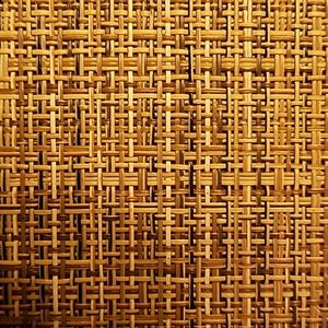 Meet your Posher, Erick