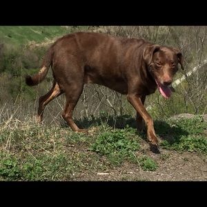 Meet your Posher, Teri