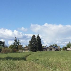 Meet your Posher, Madina