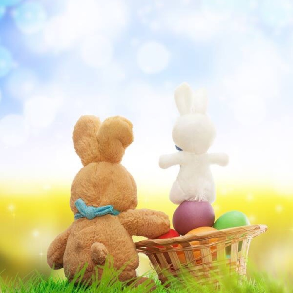 Meet your Posher, Lynn