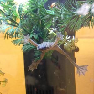 Meet your Posher, Mary alice