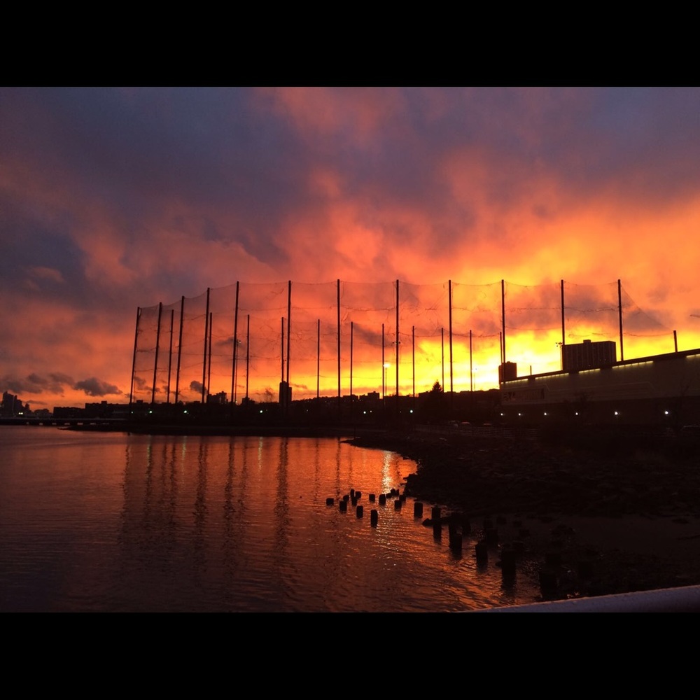 Meet your Posher, Cynthia