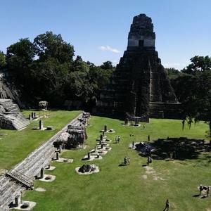 Meet your Posher, Armando