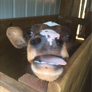 Meet your Posher, Bethany