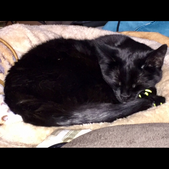 Meet your Posher, Heidi - Picture 1 of 1