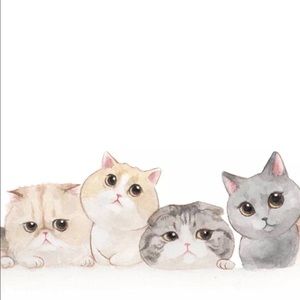 Meet your Posher, Jiaqi