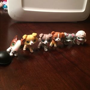 Littlest Pet Shop LPS