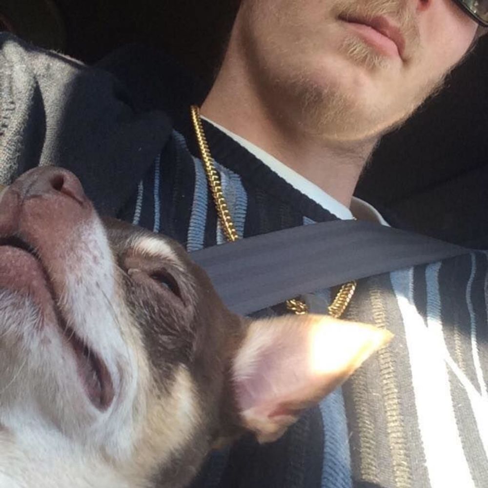 Meet your Posher, Johnny