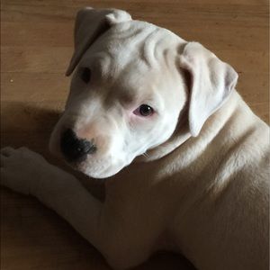 Meet your Posher, Christie